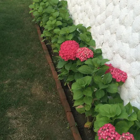 çakir Bey Oda ve Kahvaltı