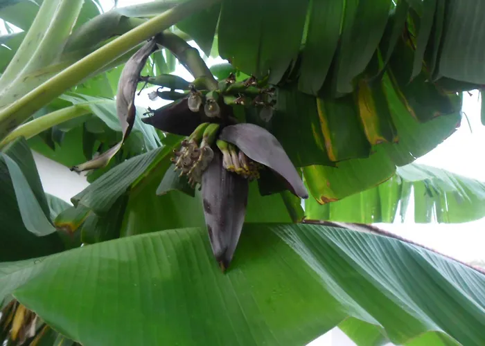 Cakir Bey Bed & Breakfast