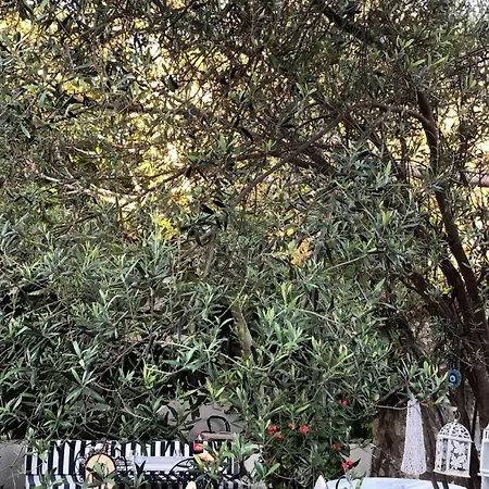 Cakir Bey אלאקאטי