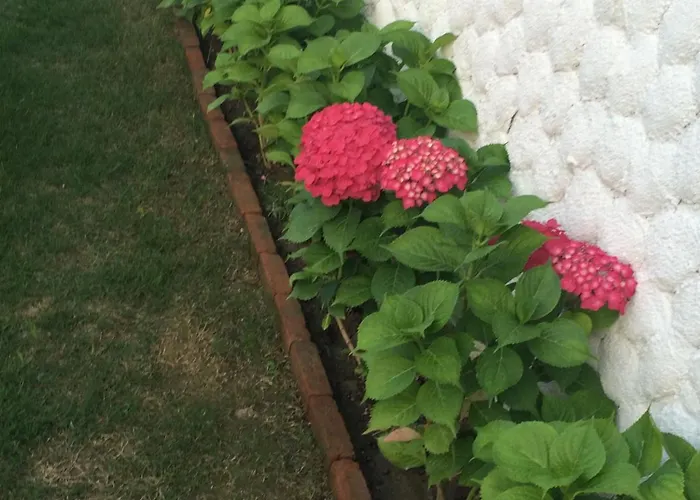 Cakir Bey Bed & Breakfast